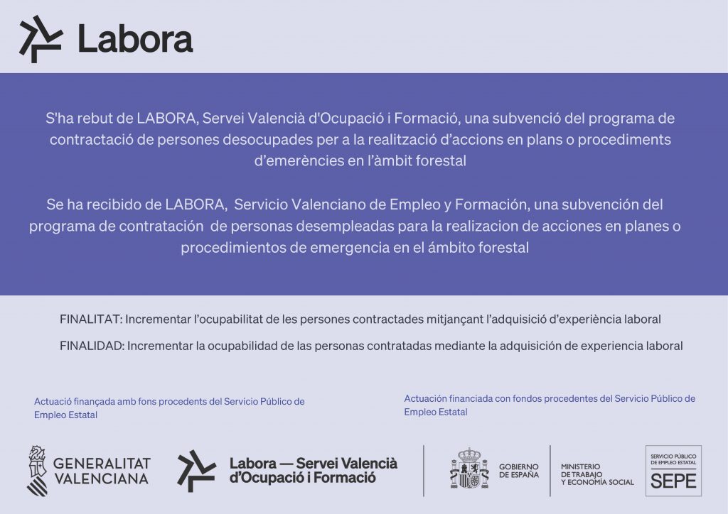 CARTELL EMERGE 2025 EMP0693E