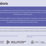 **PROGRAMA EMPLEO EMERGE 2025/185/03**