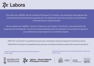 CARTELL EMERGE 2025 EMP0693E